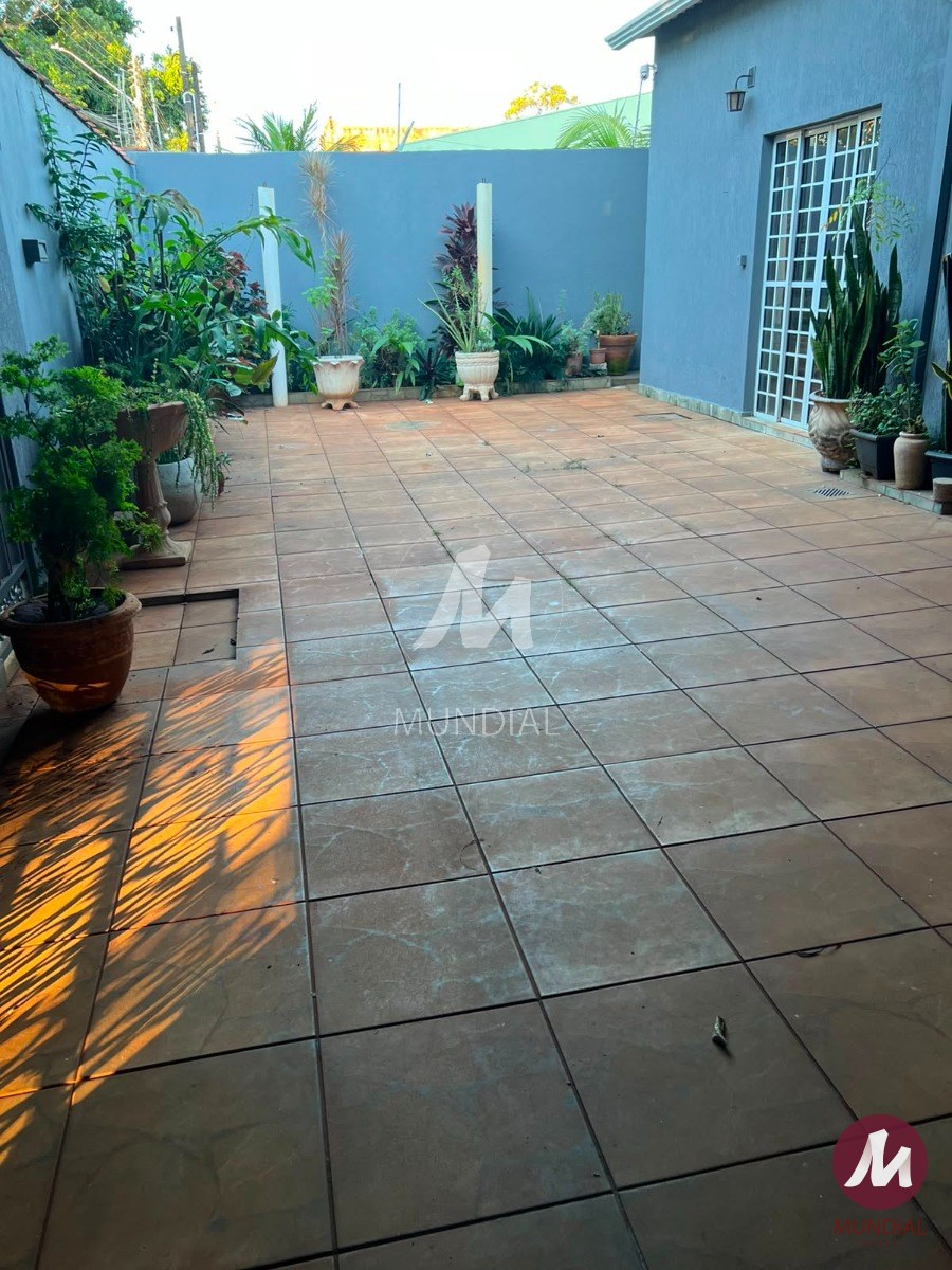 Quintal/corredores — foto 13