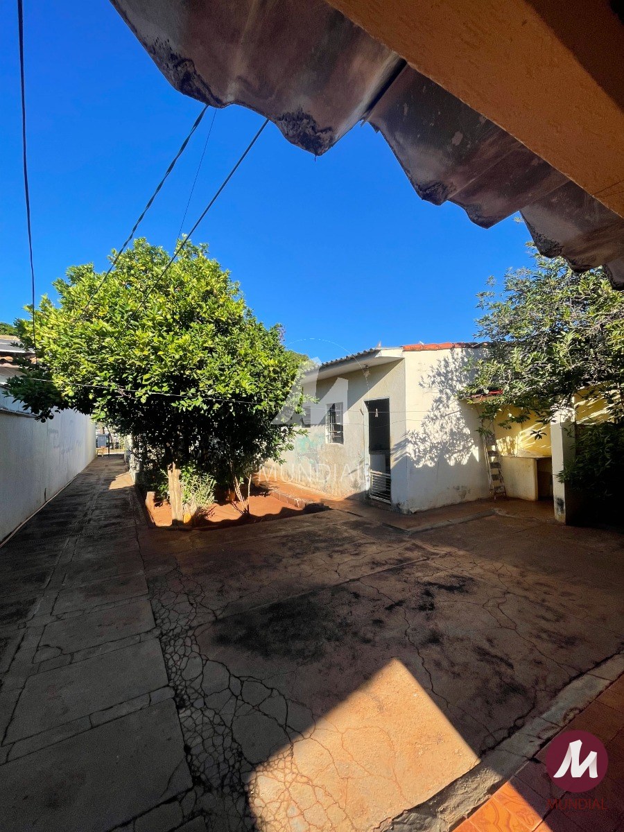 Quintal/corredores — foto 2
