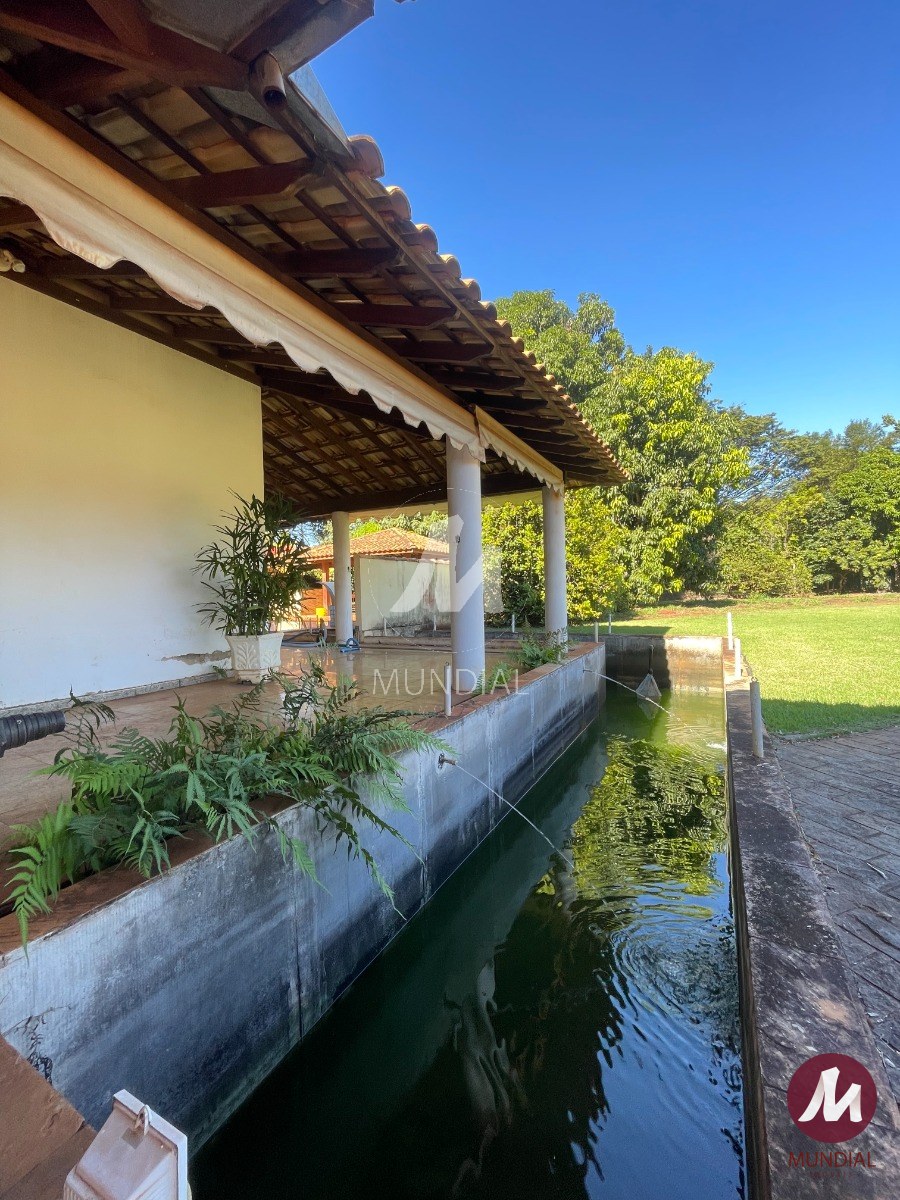 Lago artificial — foto 9