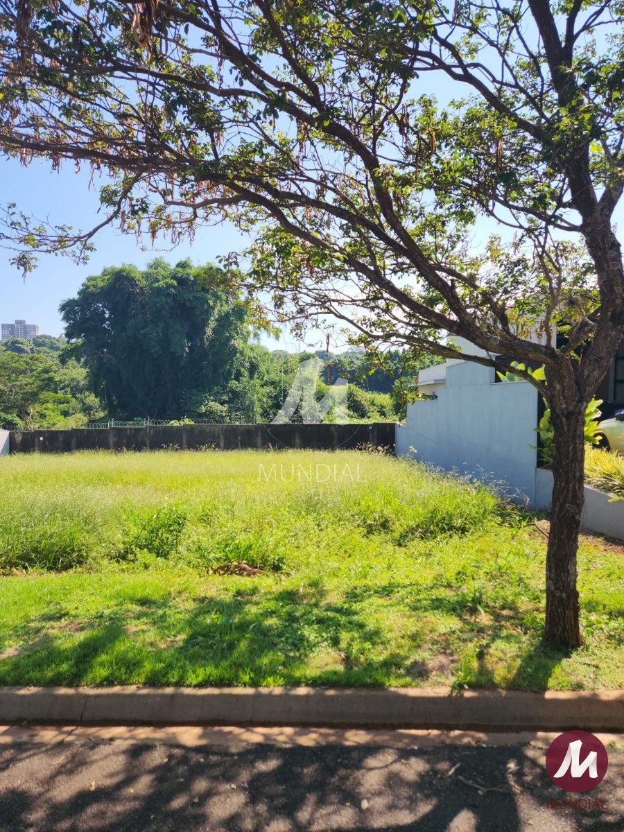 Terreno/Lote — foto 3
