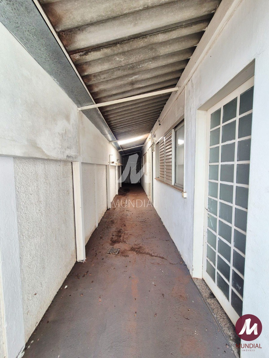 Quintal/corredores — foto 16