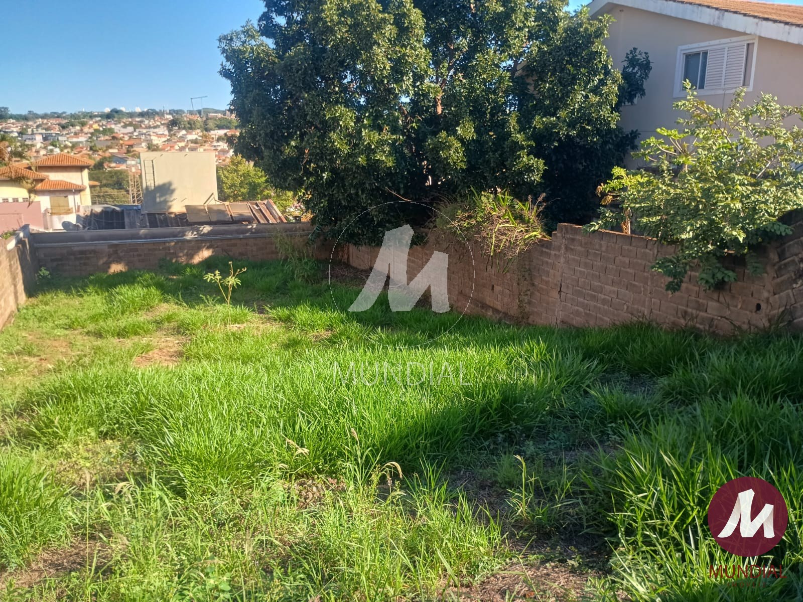 Terreno/Lote — foto 4