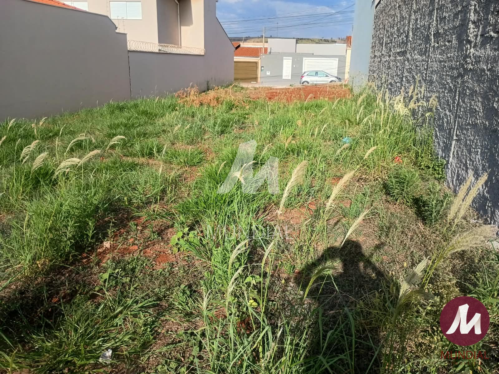 Terreno/Lote — foto 1