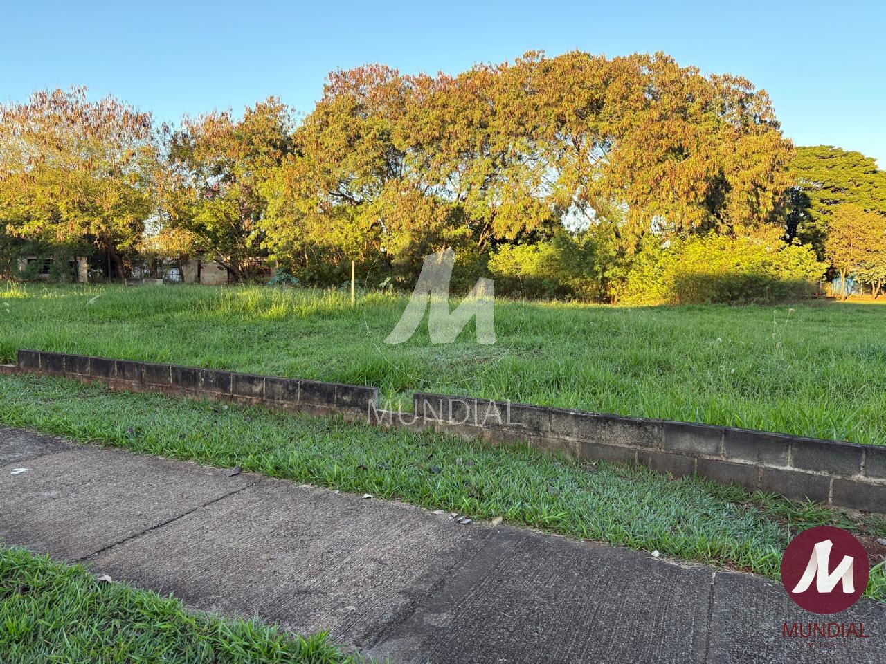 Terreno/Lote — foto 3