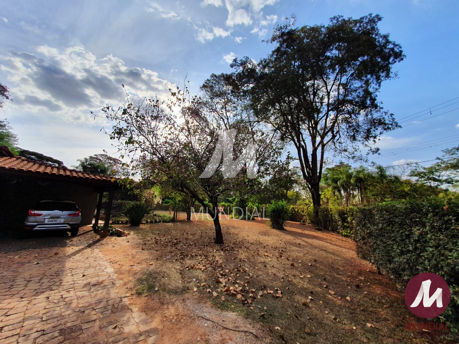 Quintal/corredores — foto 17