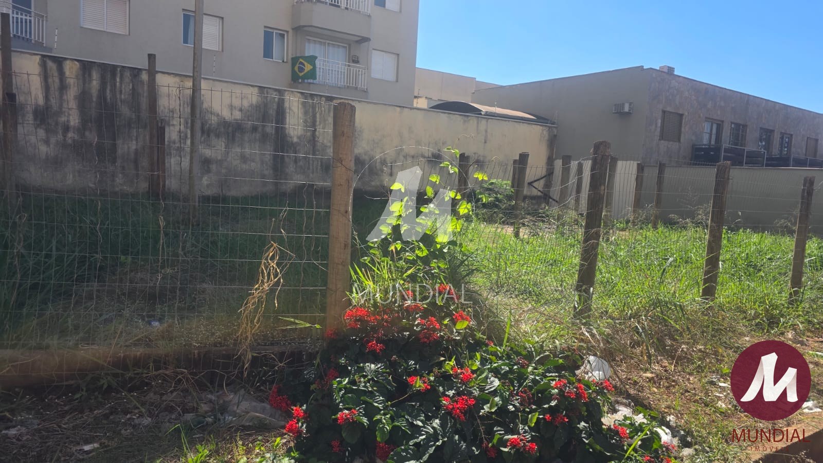 Terreno/Lote — foto 3