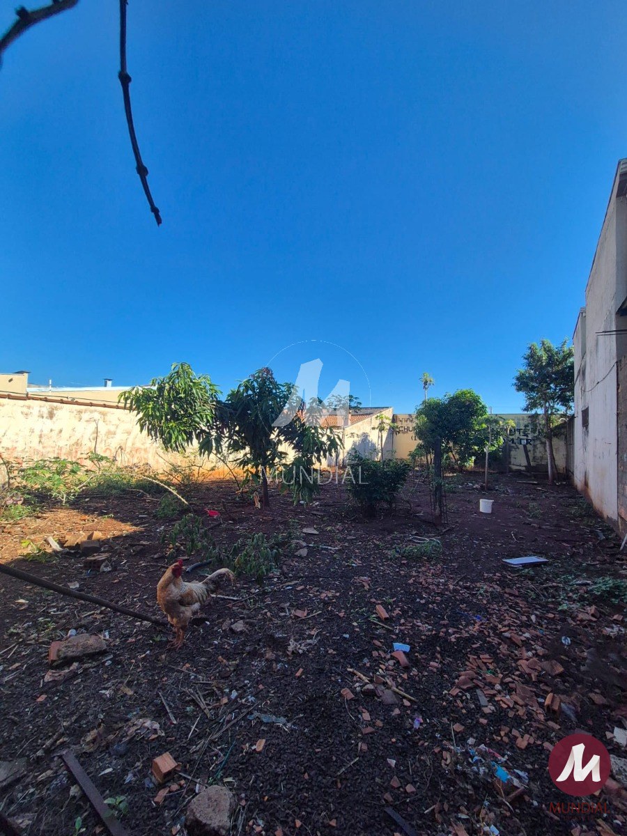 Terreno/Lote — foto 2