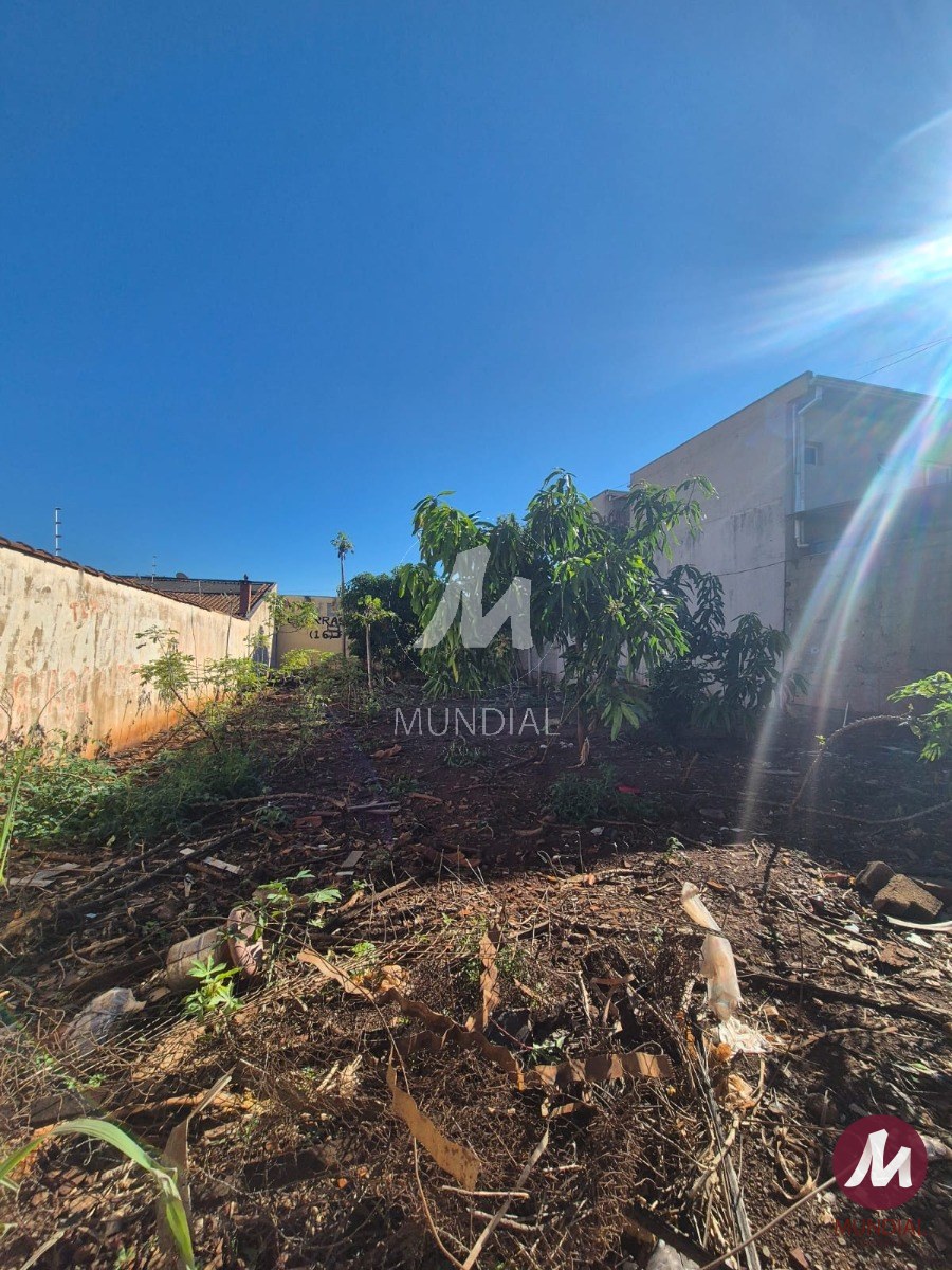 Terreno/Lote — foto 3