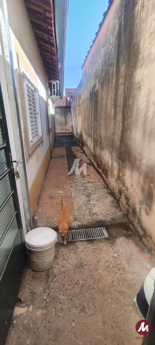 Quintal/corredores — foto 16