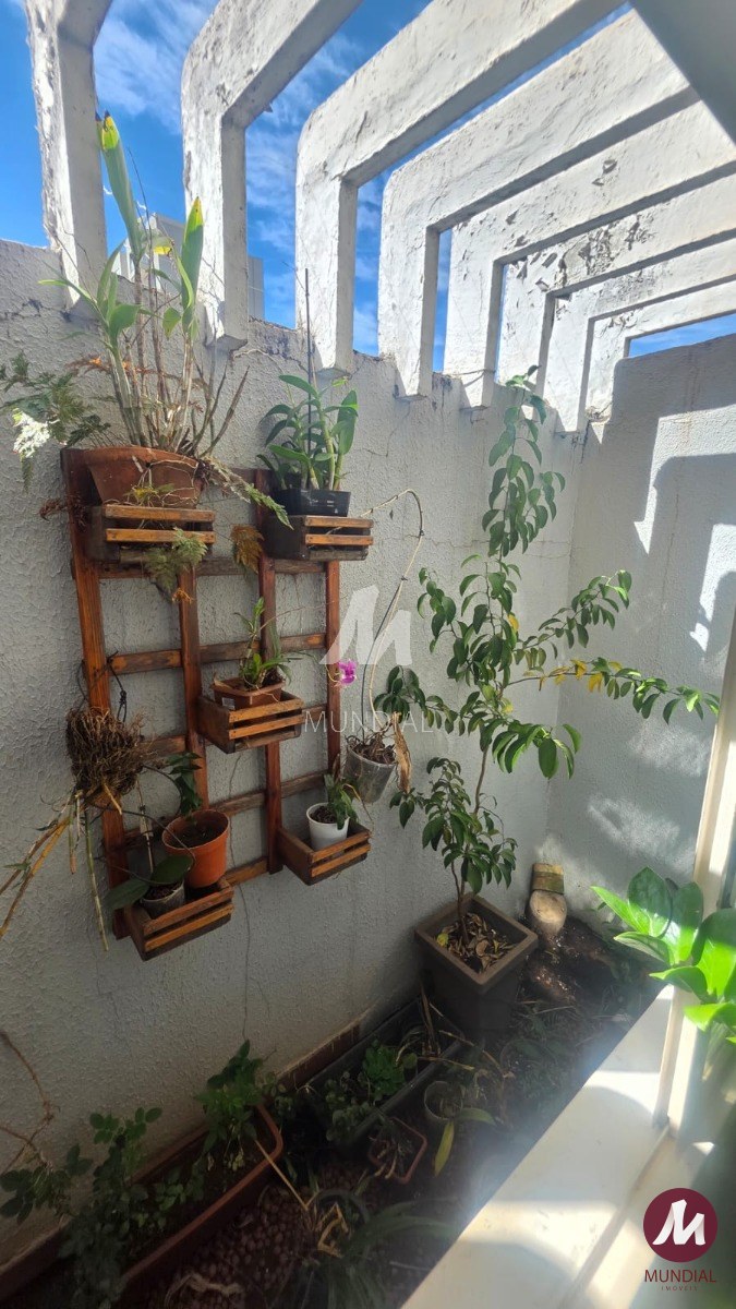 Quintal/corredores — foto 10