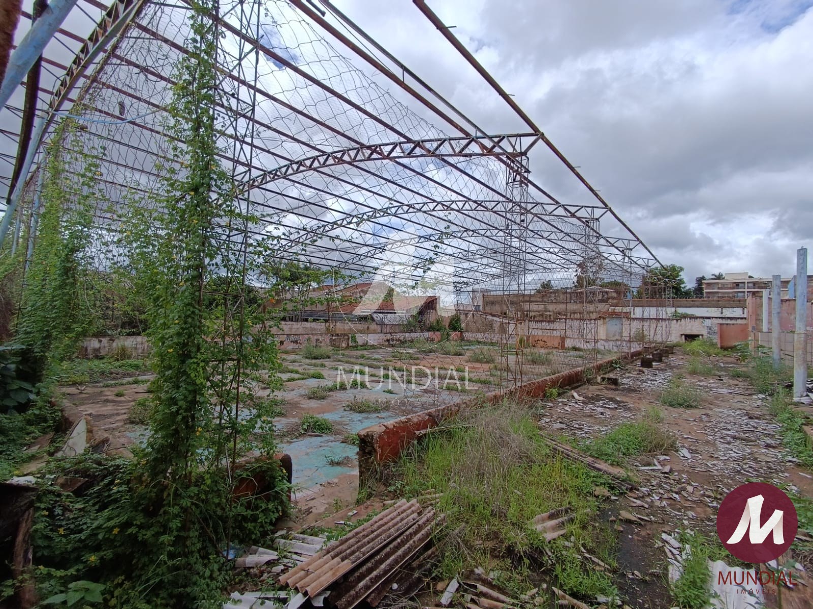 Terreno/Lote — foto 2