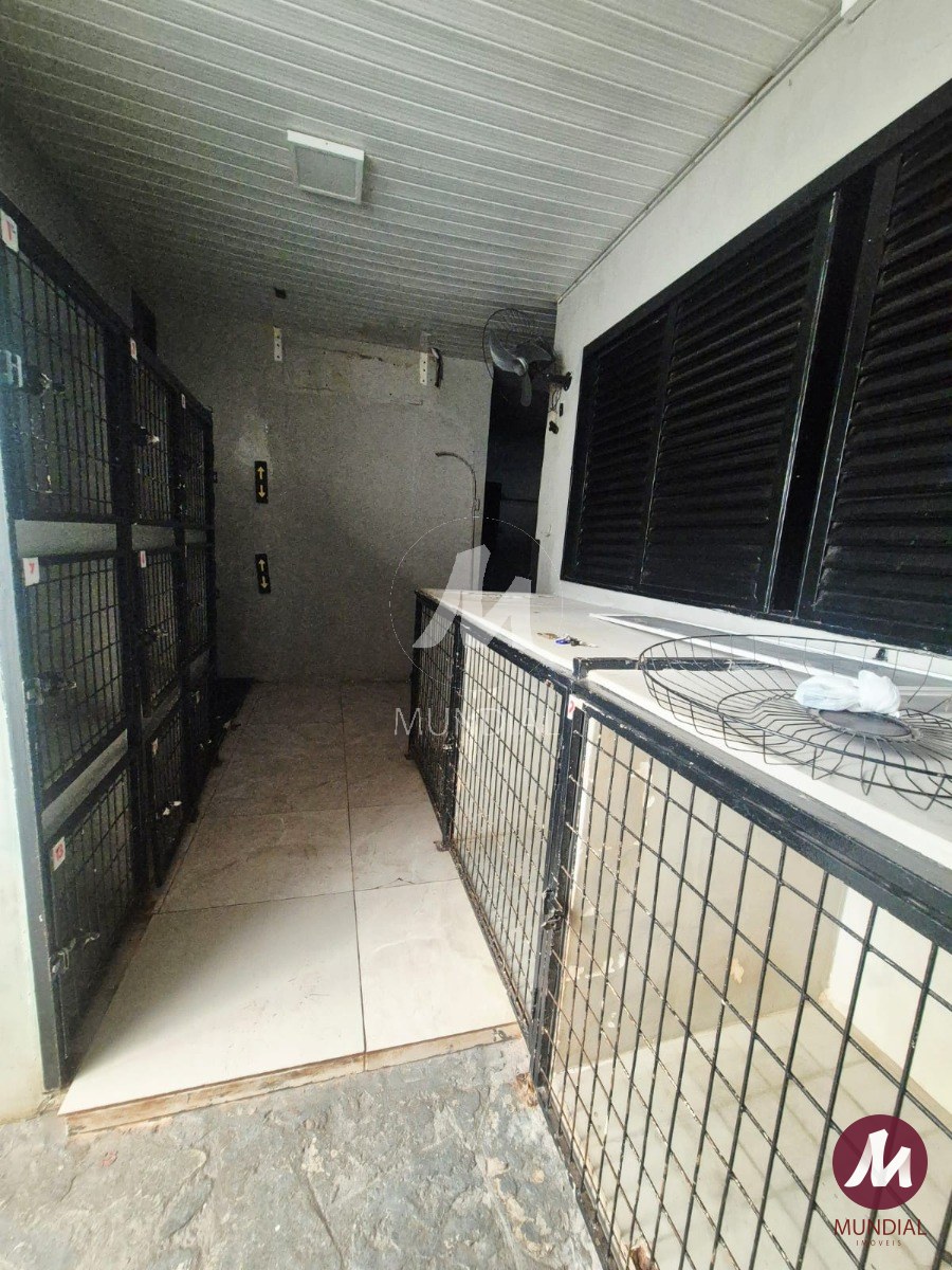 Outras — foto 11