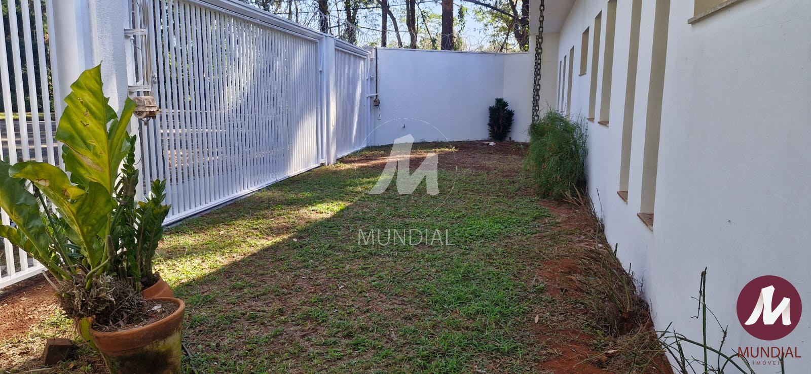 Jardim — foto 25