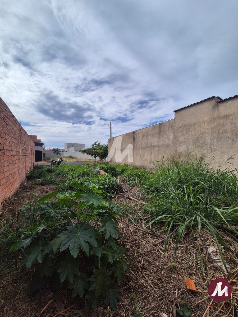 Terreno/Lote — foto 2