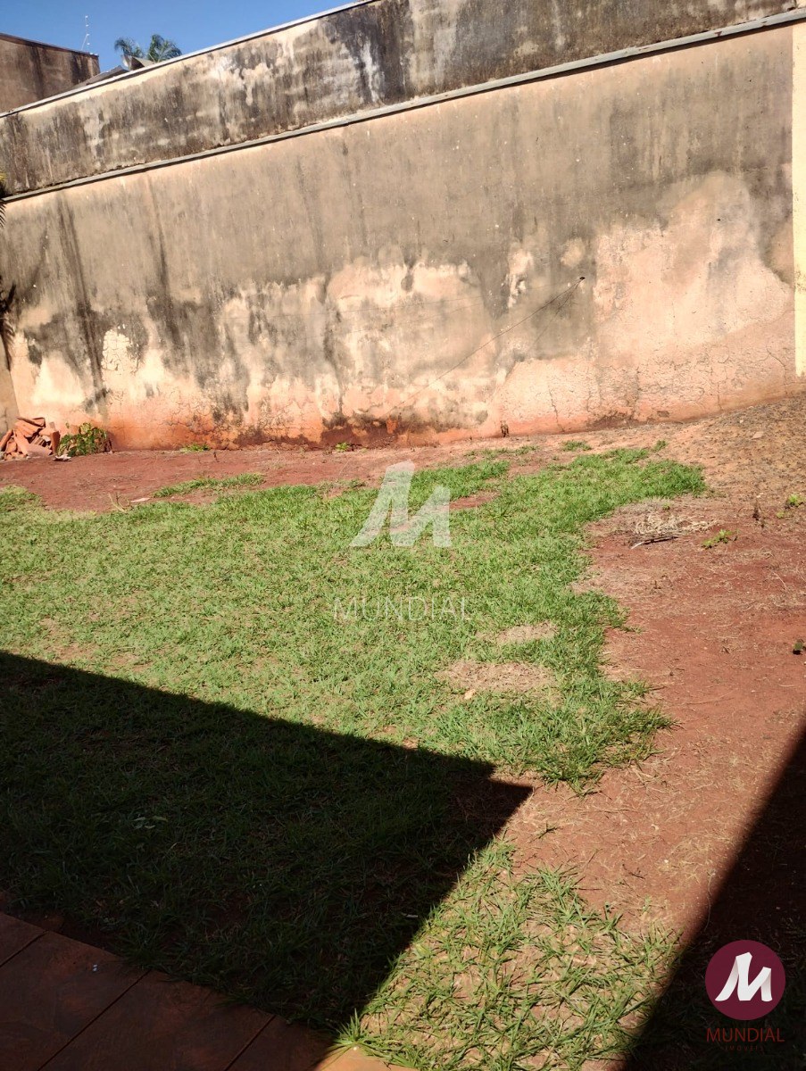 Jardim — foto 7