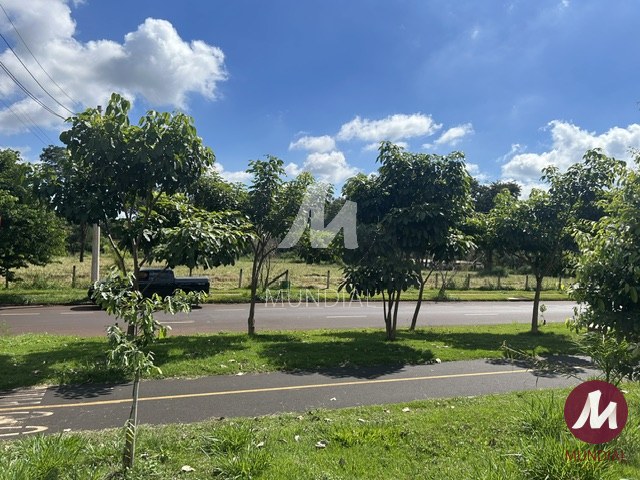 Terreno/Lote — foto 4