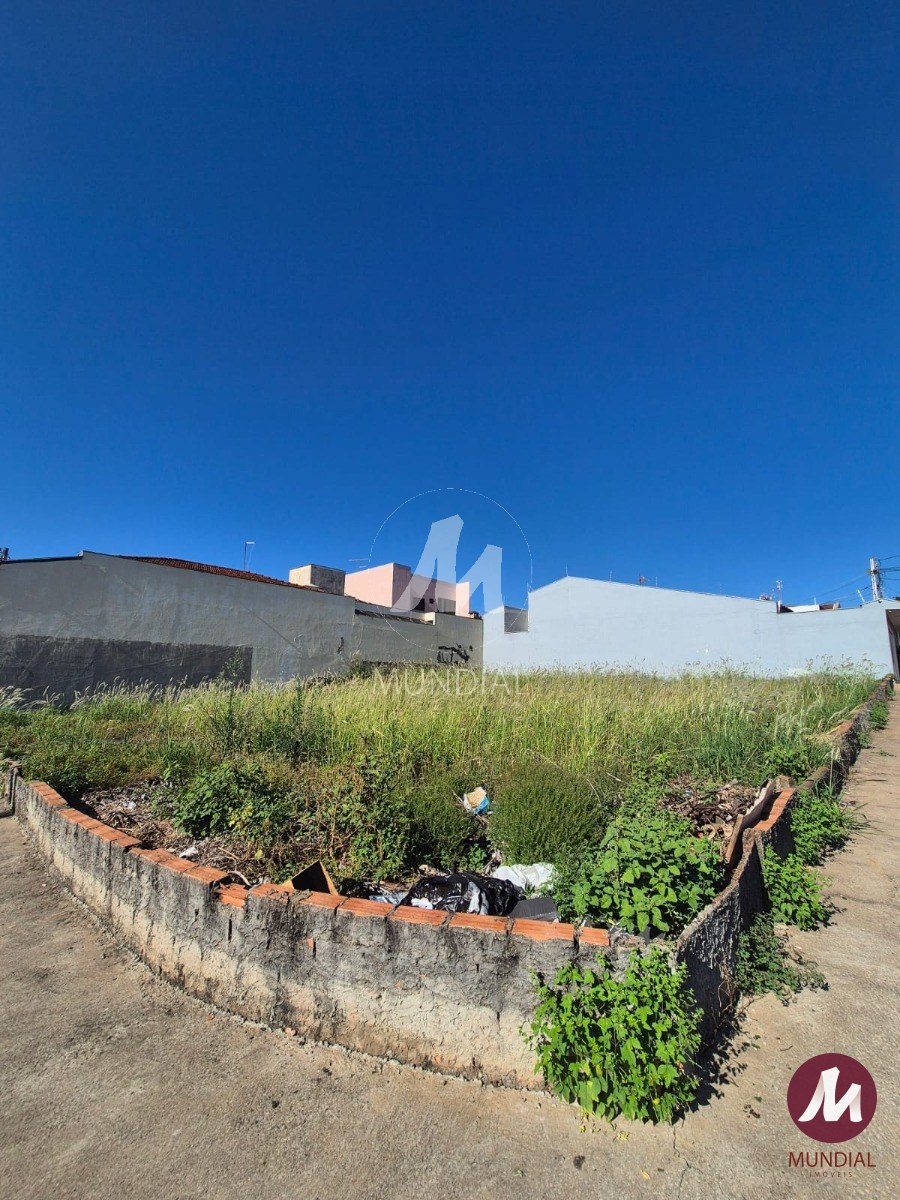 Terreno/Lote — foto 1