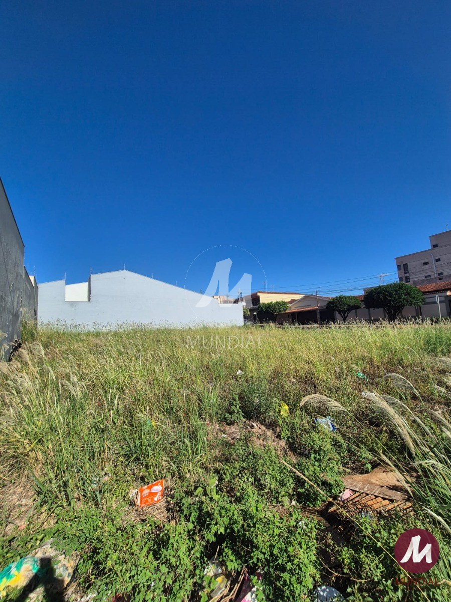 Terreno/Lote — foto 2