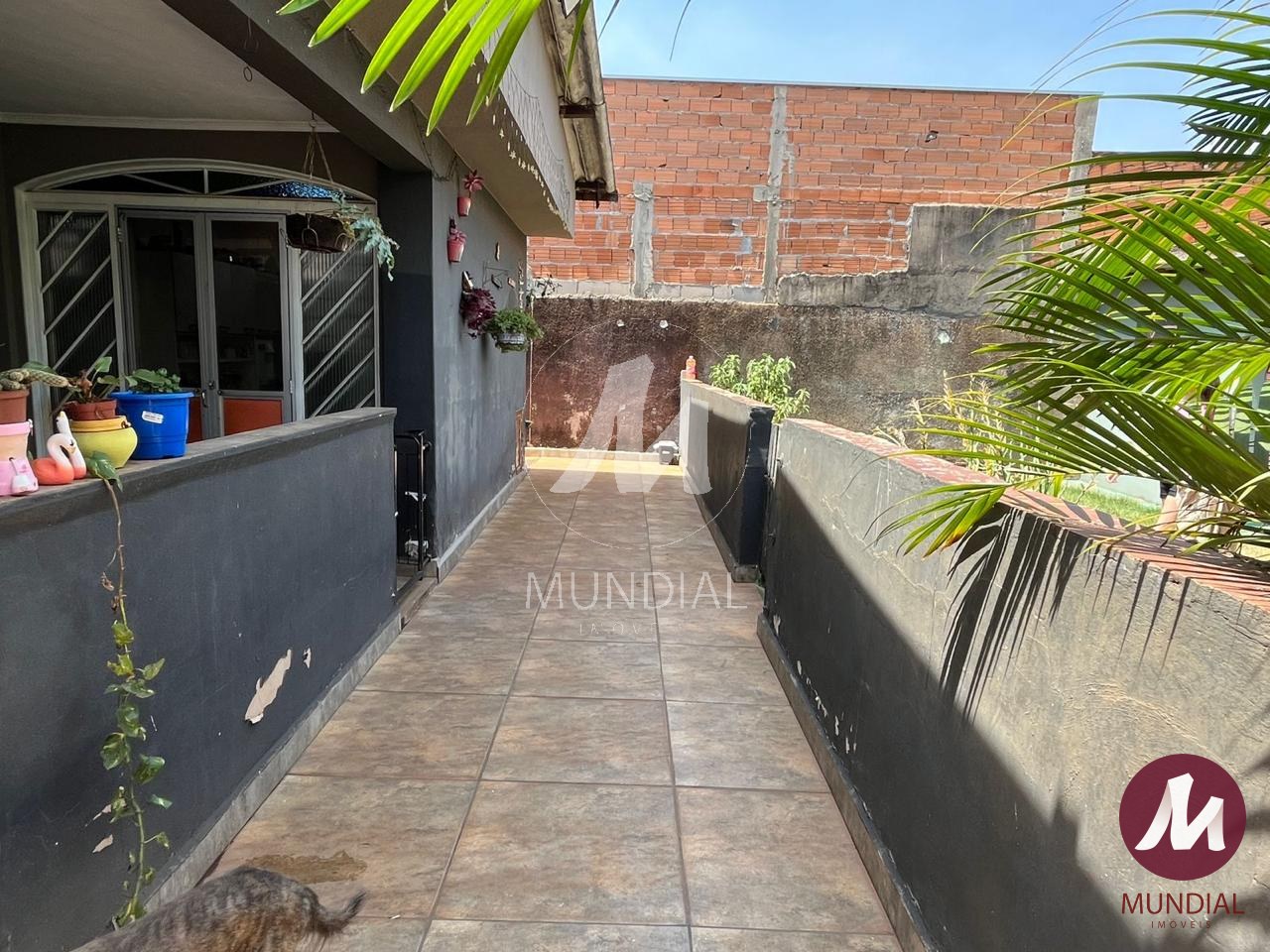 Quintal/corredores — foto 10