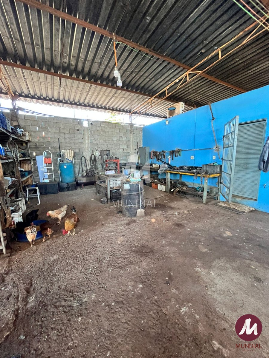 Terreno/Lote — foto 19
