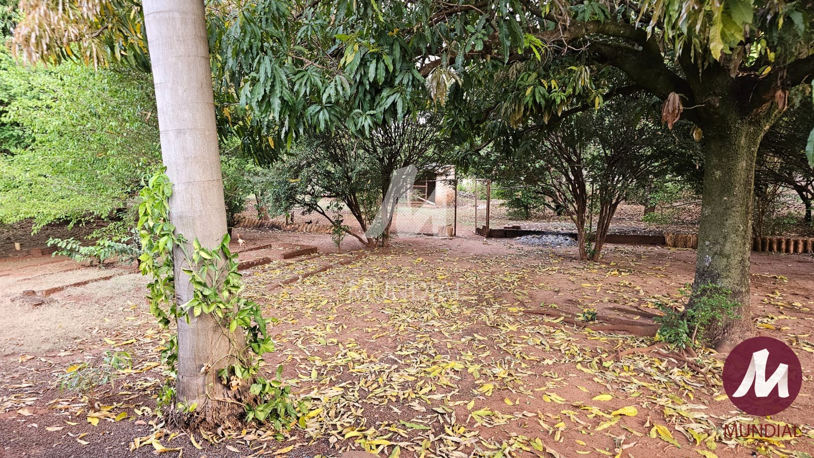 Jardim — foto 11