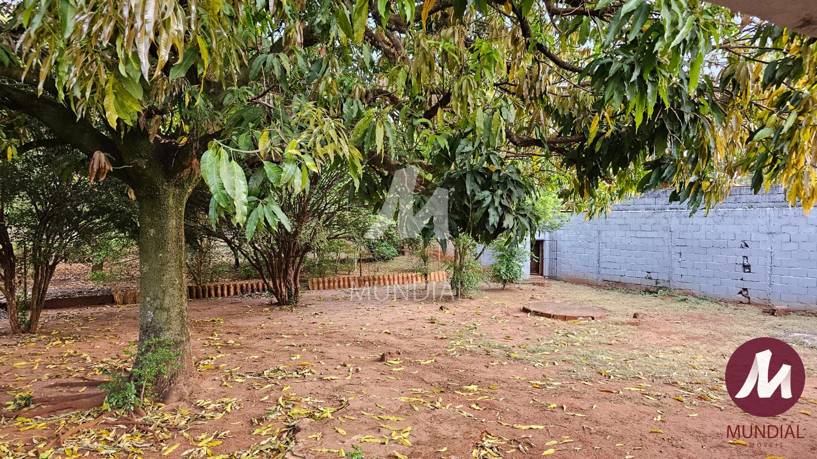 Jardim — foto 12