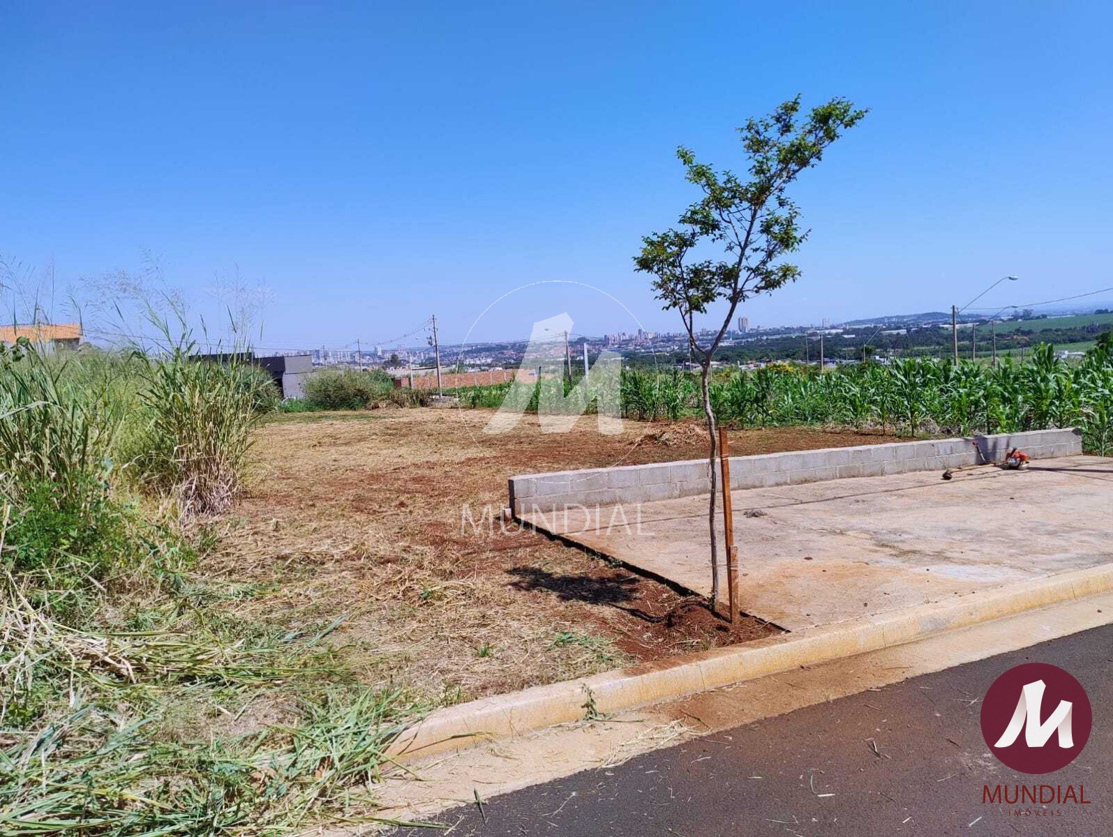 Terreno/Lote — foto 2
