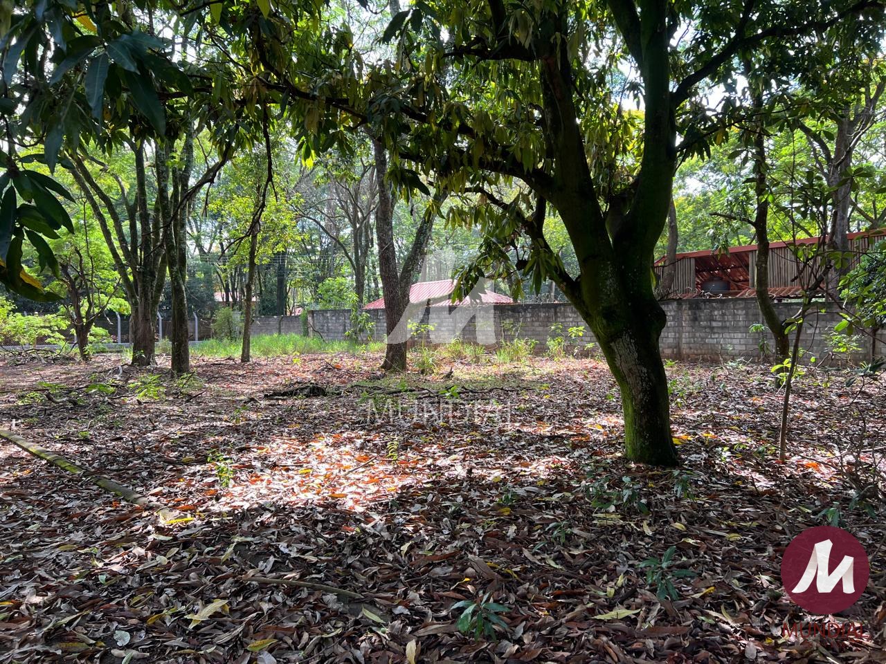 Terreno/Lote — foto 3
