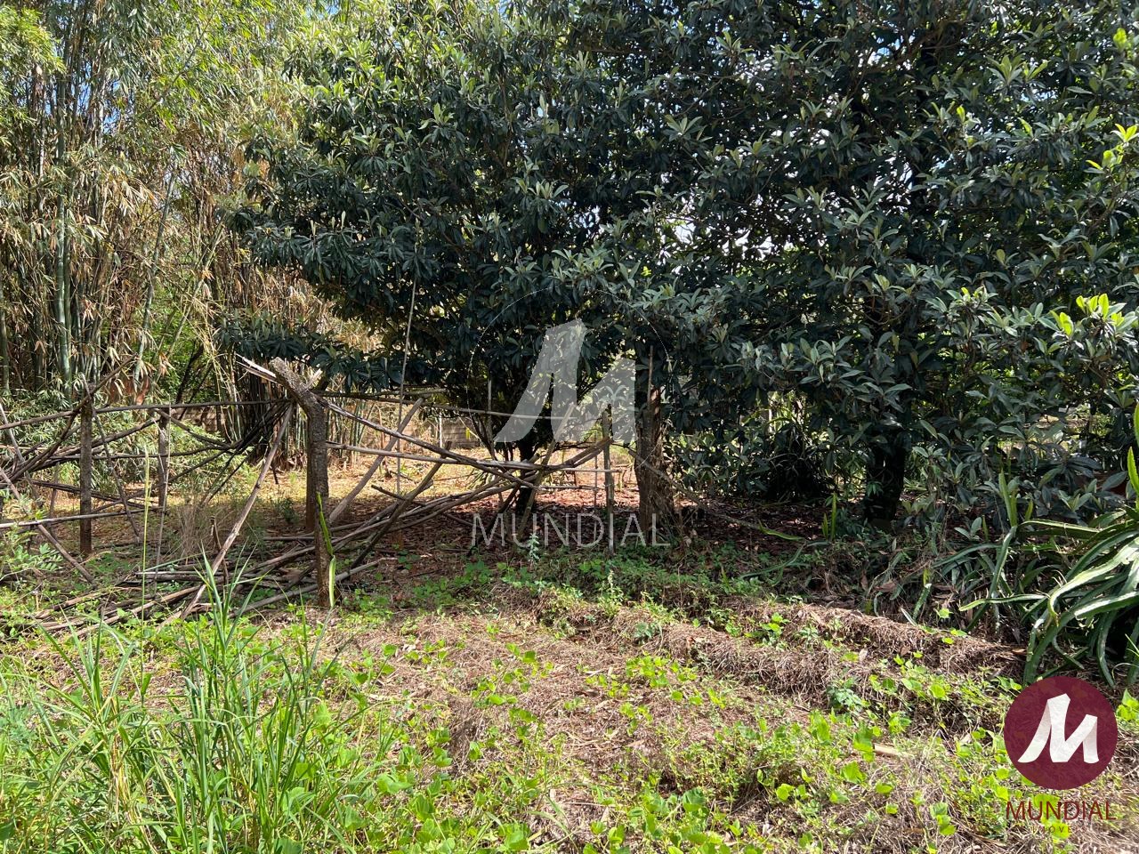 Terreno/Lote — foto 4