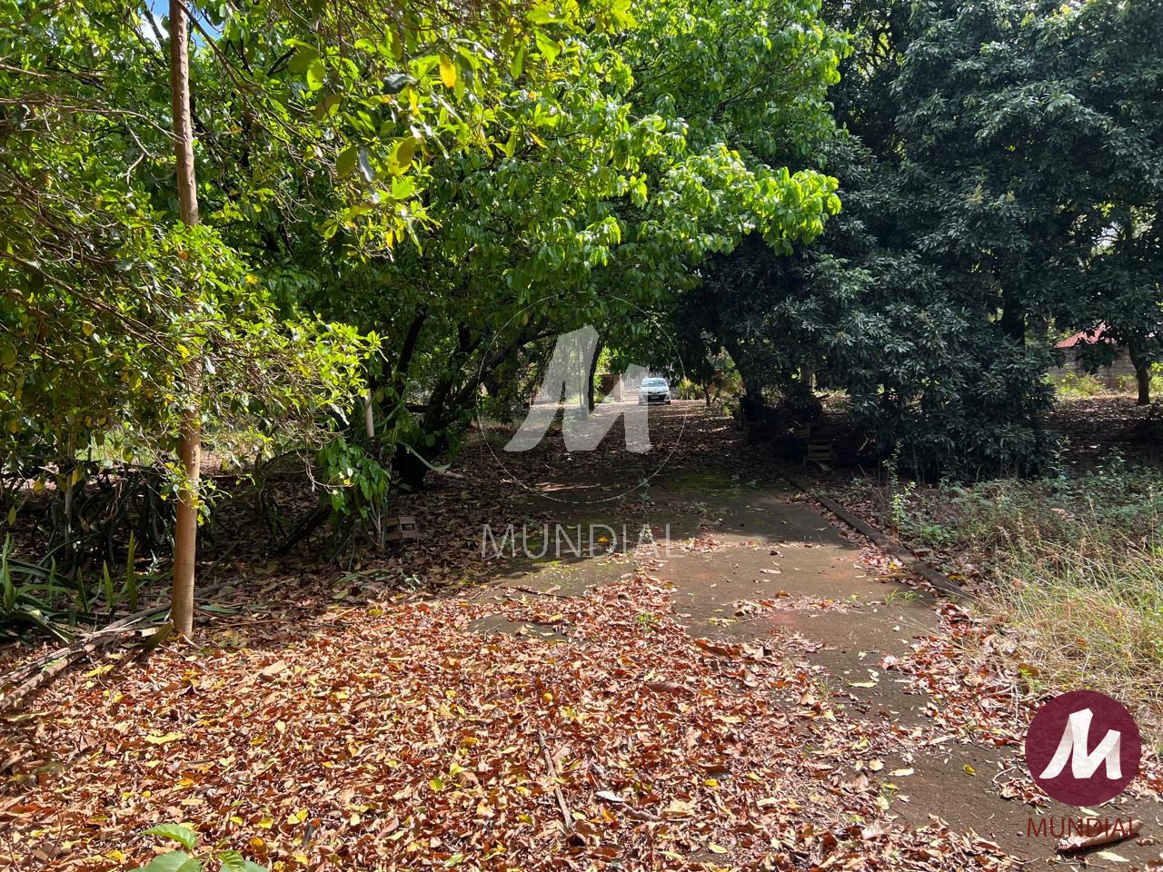 Terreno/Lote — foto 5