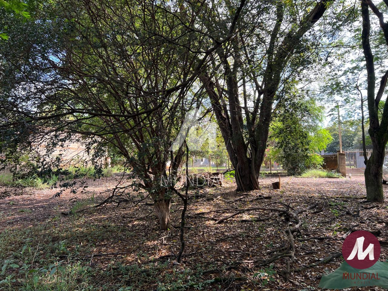 Terreno/Lote — foto 6
