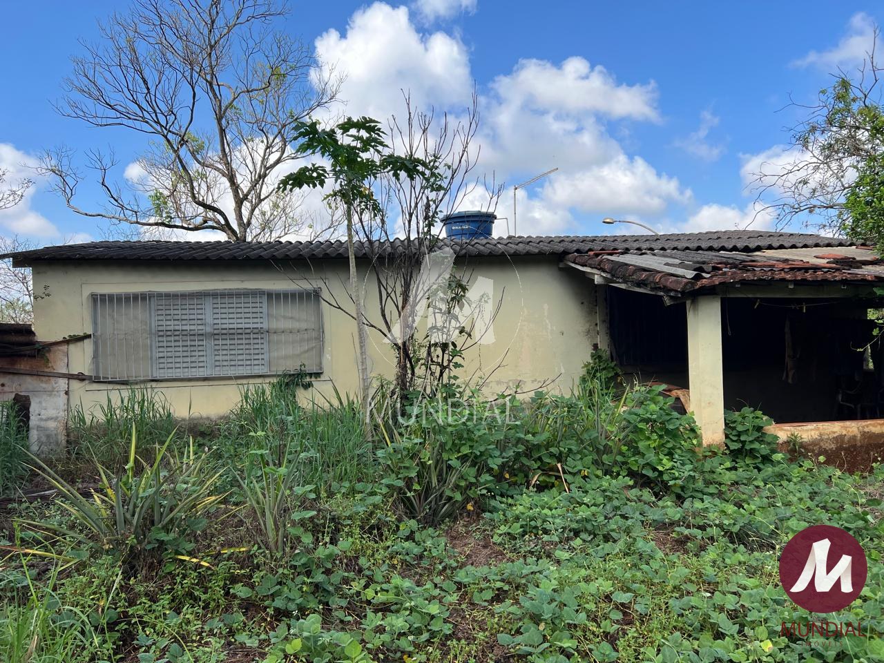 Quintal/corredores — foto 8