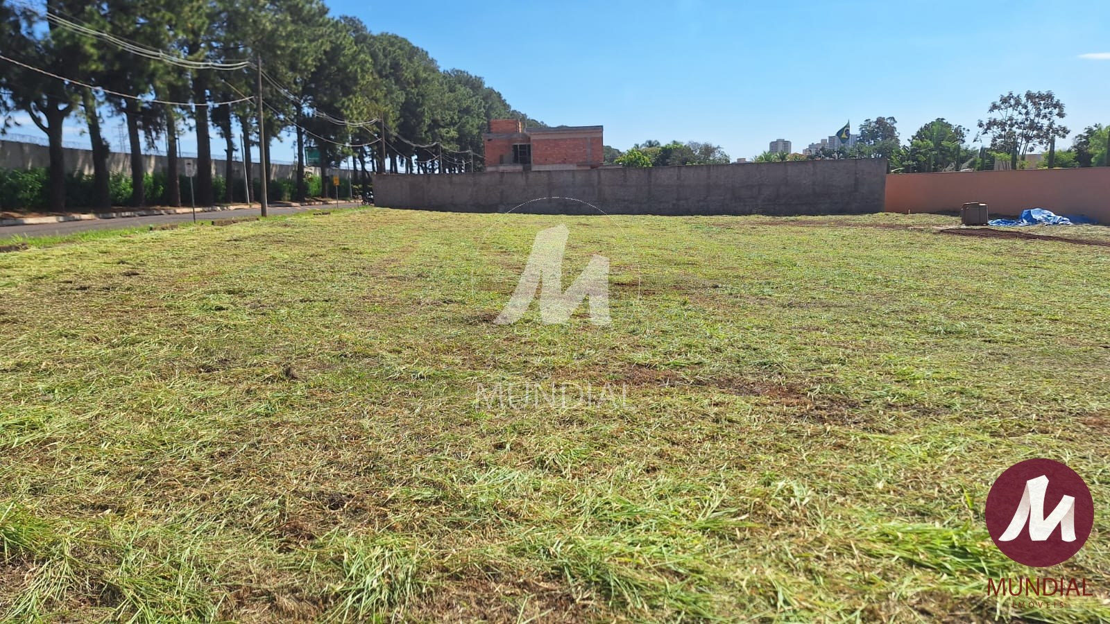 Terreno/Lote — foto 5