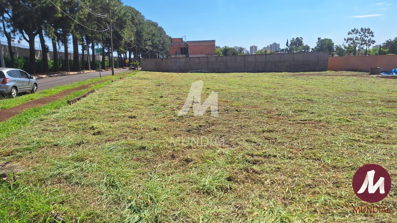 Terreno/Lote — foto 4