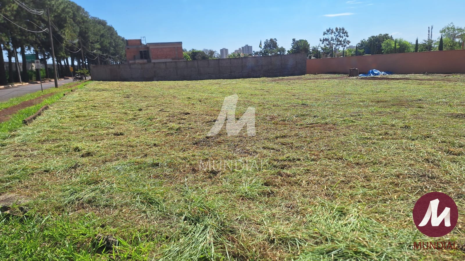 Terreno/Lote — foto 7