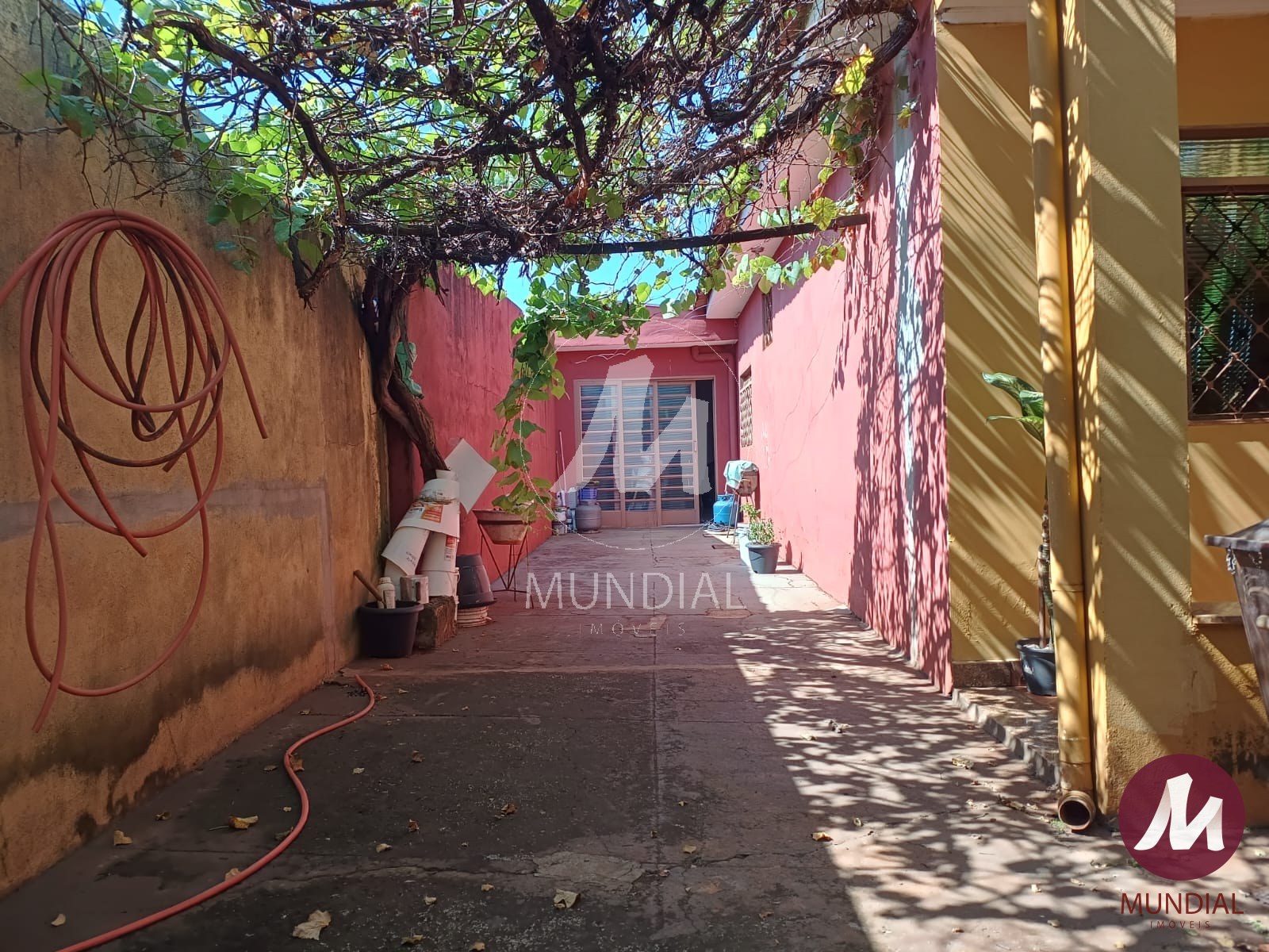 Quintal/corredores — foto 13