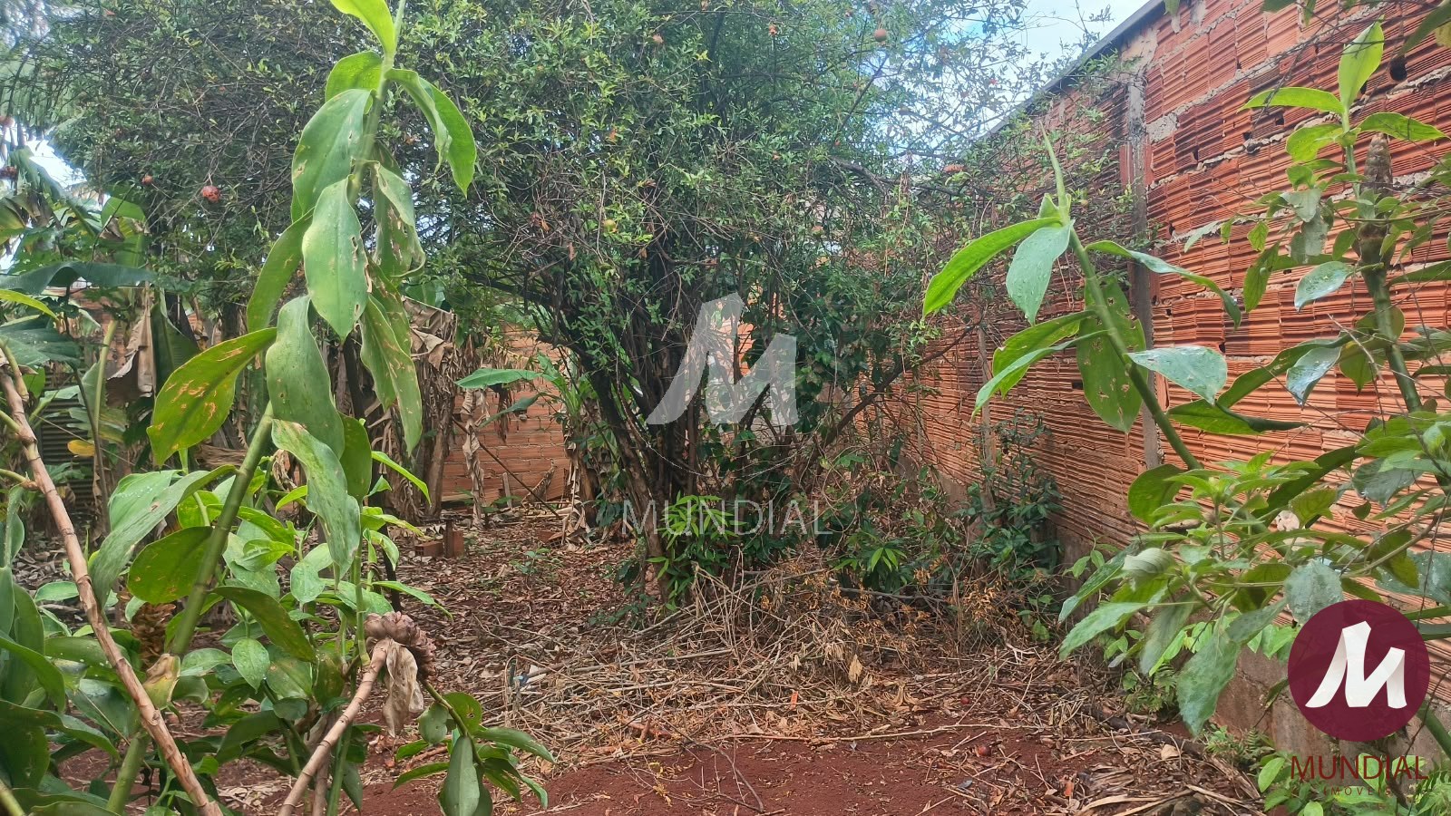 Terreno/Lote — foto 6