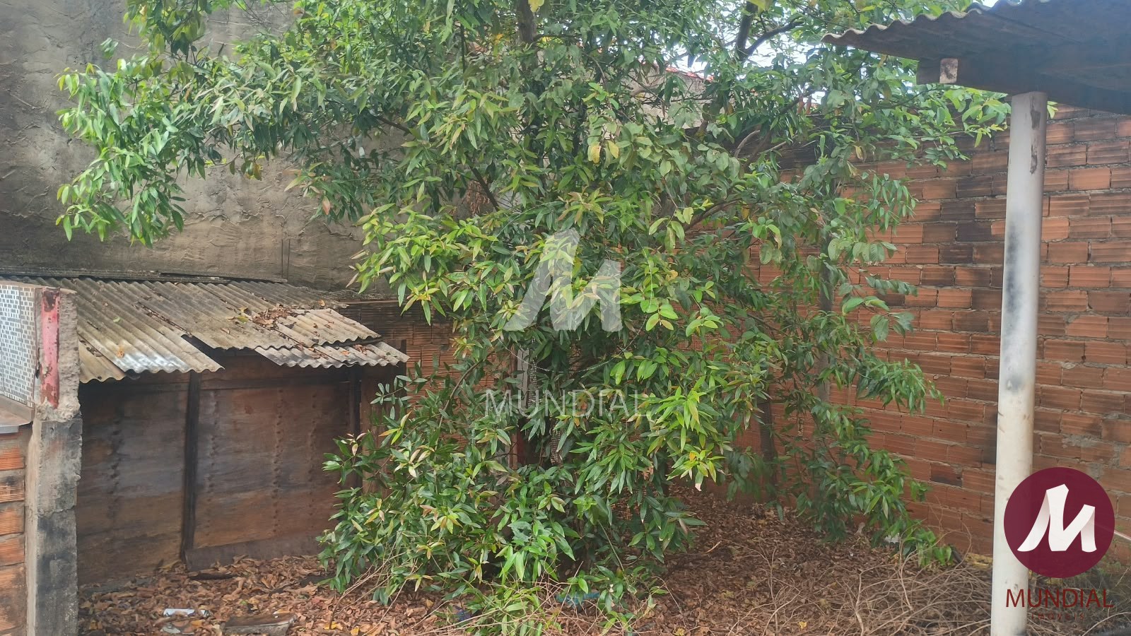 Terreno/Lote — foto 5