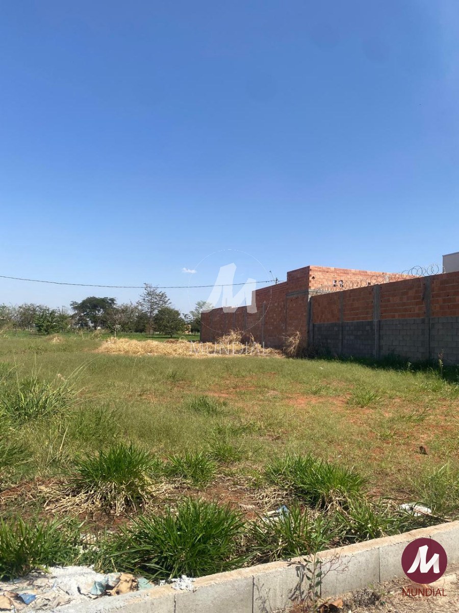 Terreno/Lote — foto 1