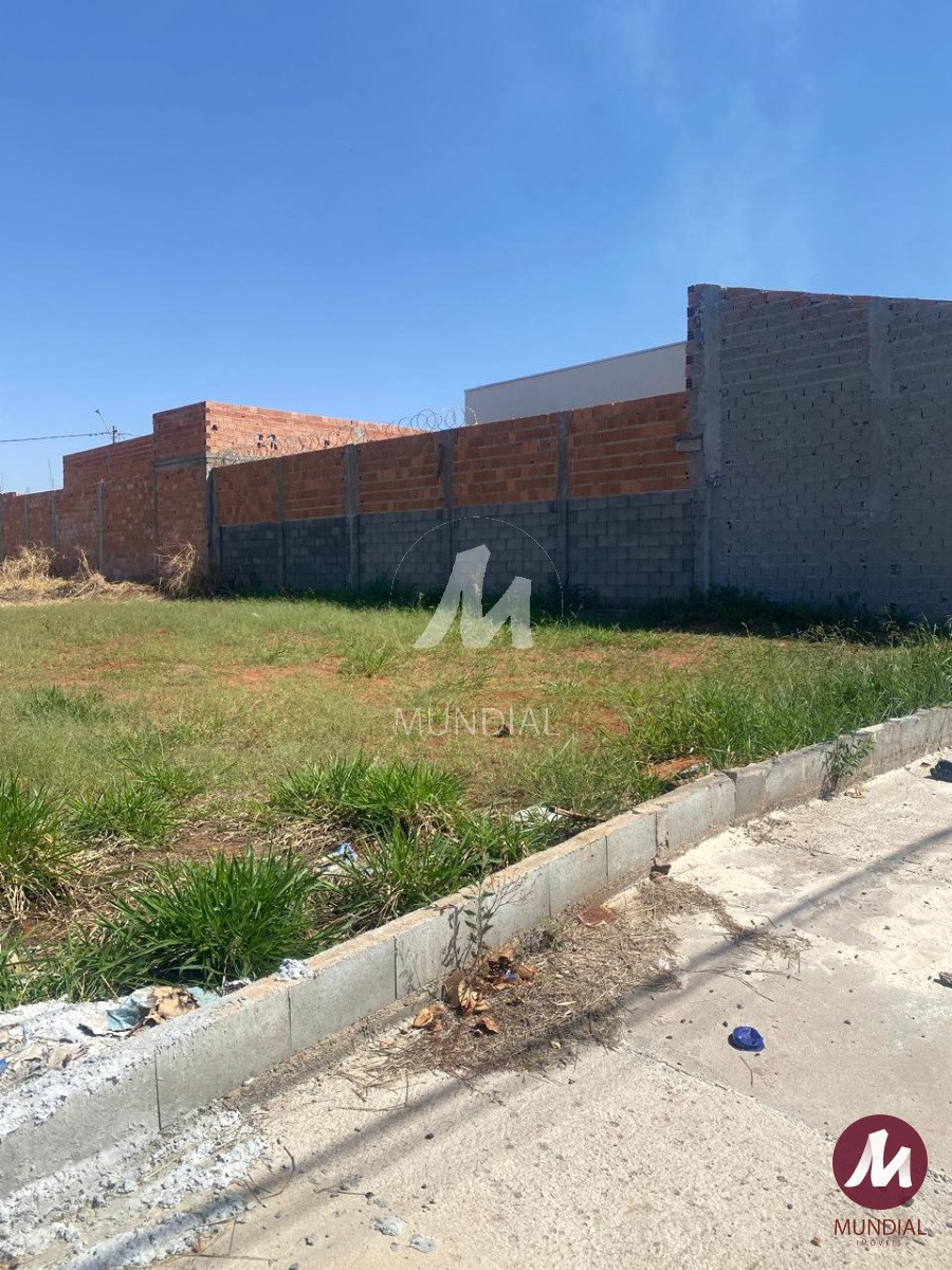Terreno/Lote — foto 3