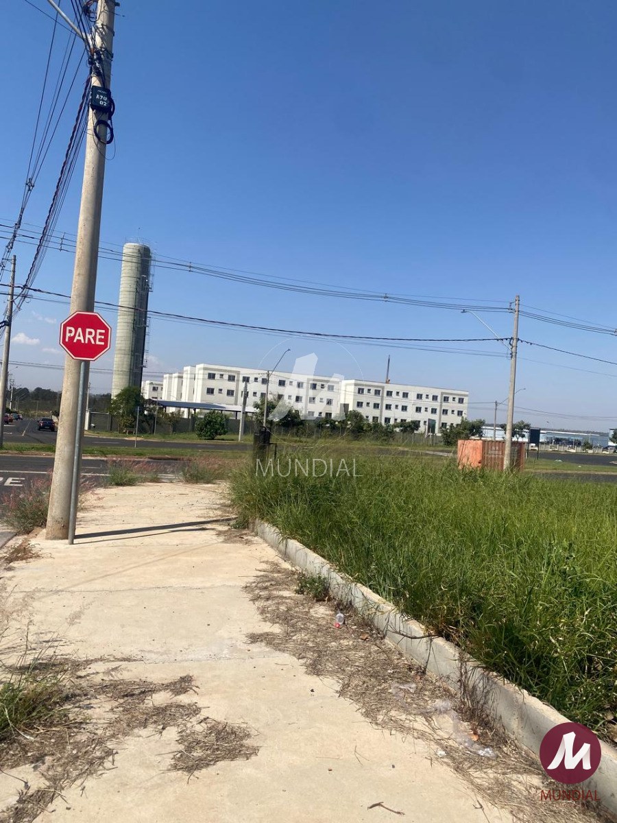 Terreno/Lote — foto 4