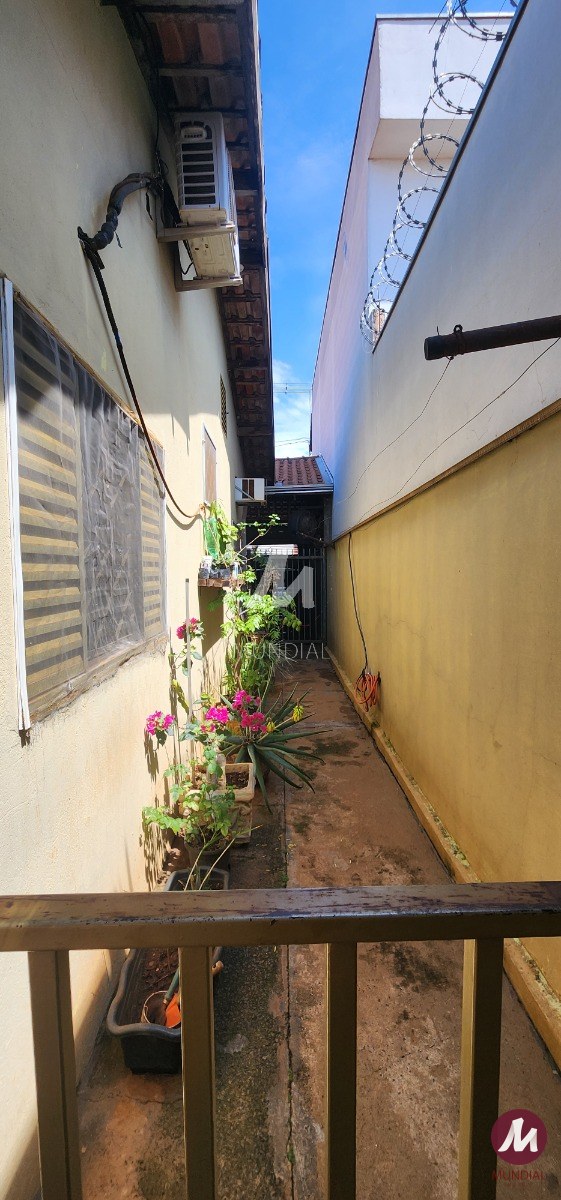 Quintal/corredores — foto 14