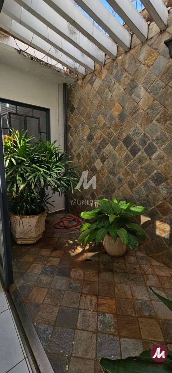 Jardim — foto 7