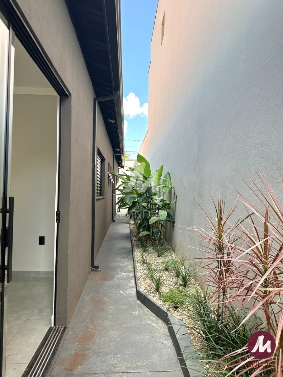 Quintal/corredores — foto 7