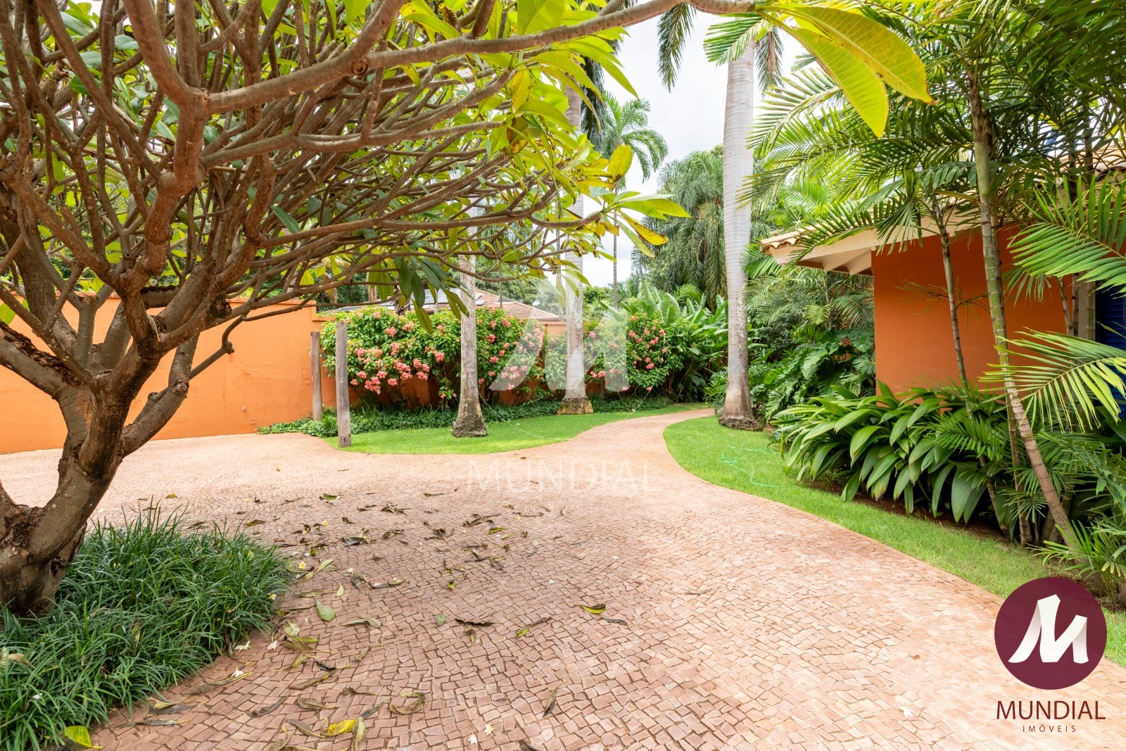 Jardim — foto 5