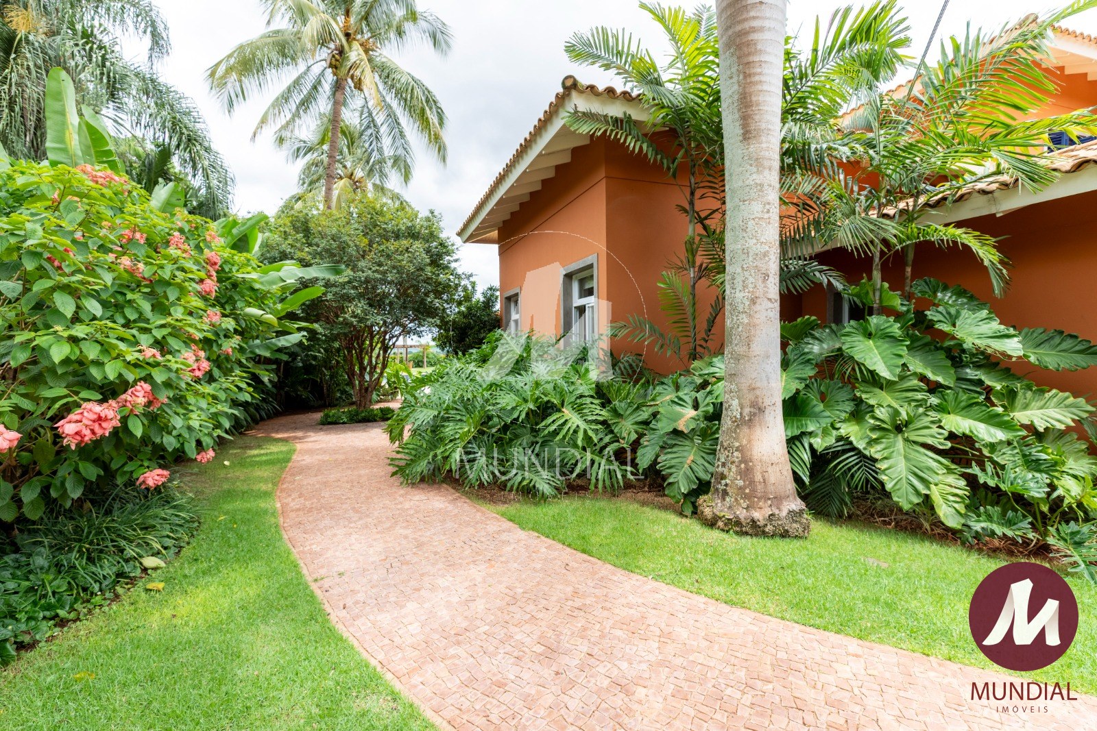Jardim — foto 6