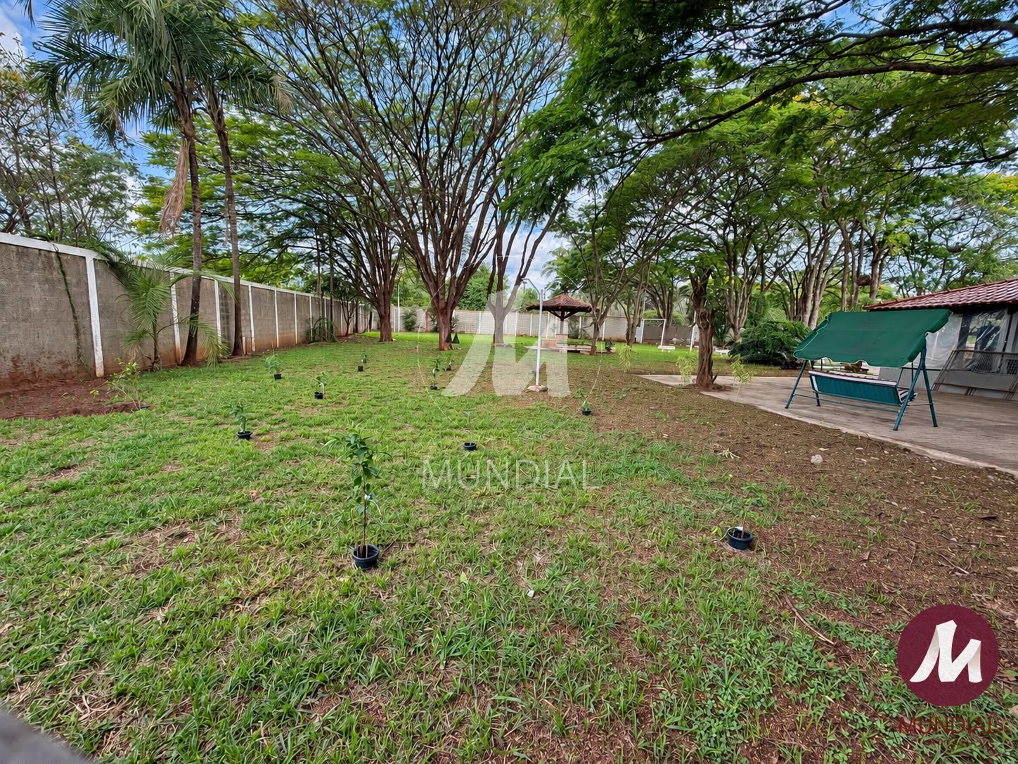 Quintal/corredores — foto 24