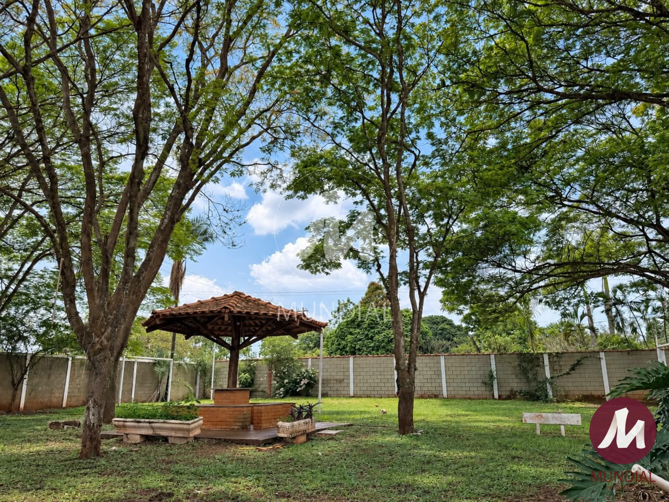 Quintal/corredores — foto 25