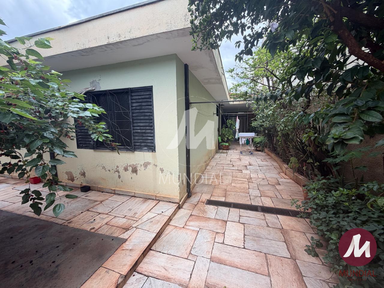 Quintal/corredores — foto 21
