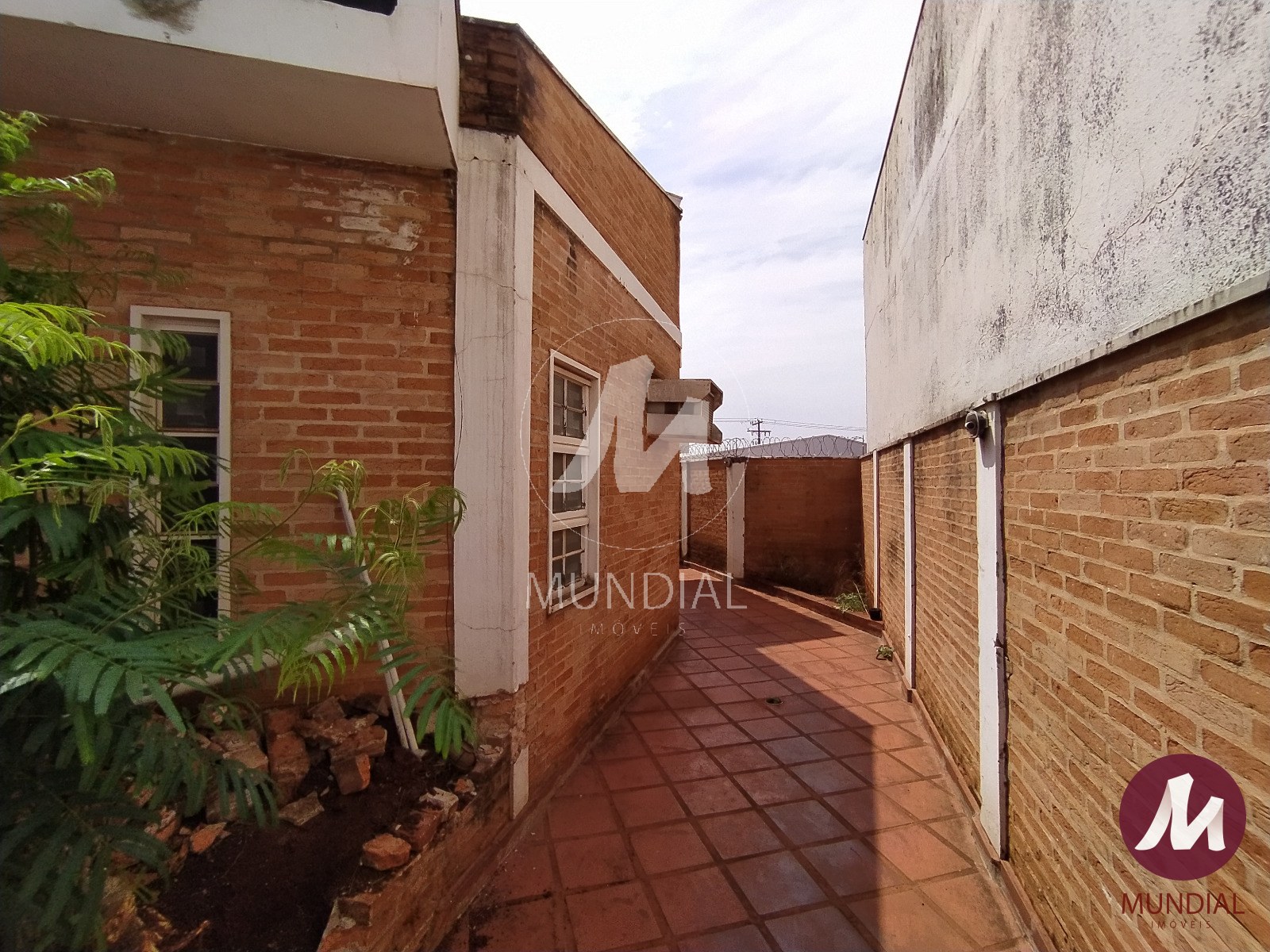 Quintal/corredores — foto 12